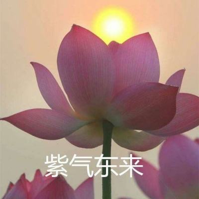 百炼乾坤九游游戏下载